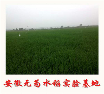 f098e858e1b8cad1b19756a099bf5fcd ÎÞ»ú¸´»ì·Ê³ö²úÁ÷³Ì½éÉÜ